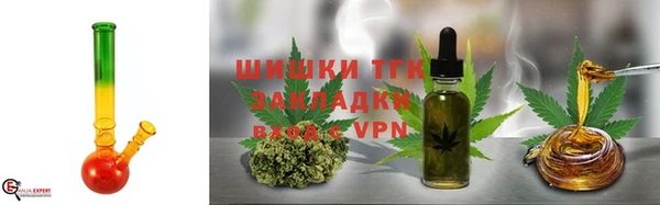 прущие грибы Мегион