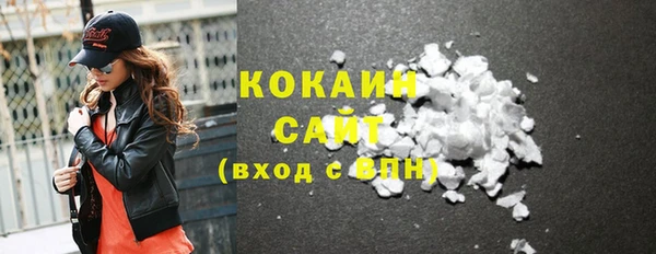 прущие грибы Мегион
