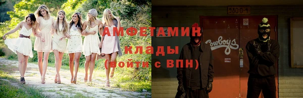 прущие грибы Мегион