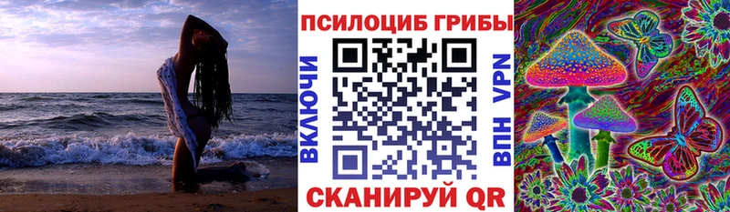 купить  сайты  Верхоянск  shop состав  Галлюциногенные грибы ЛСД 